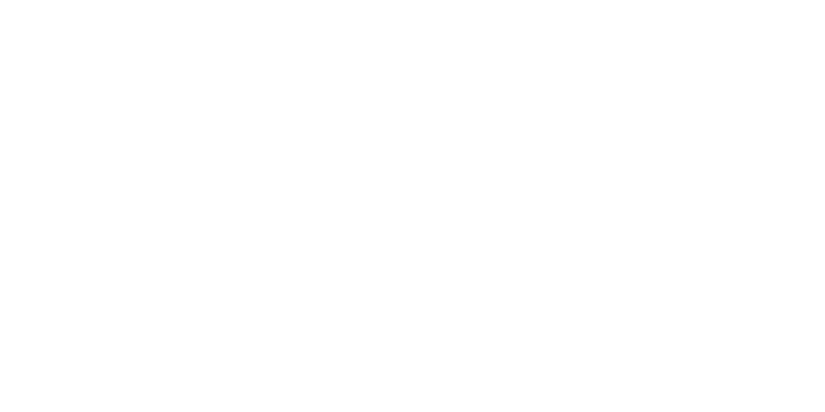 Partner 6